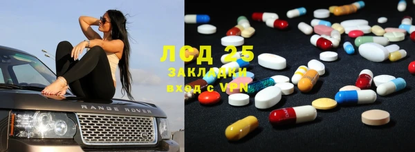 индика Баксан