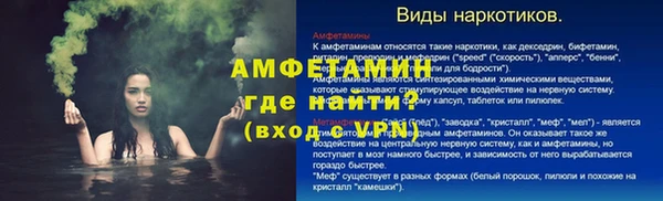 хмурый Аркадак
