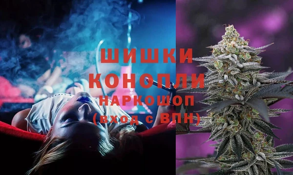 индика Баксан